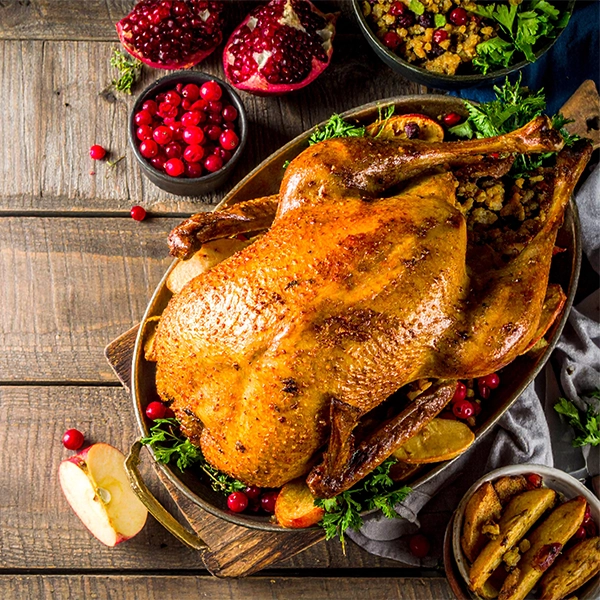 Roast Goose with Apple and Cranberry Stuffing